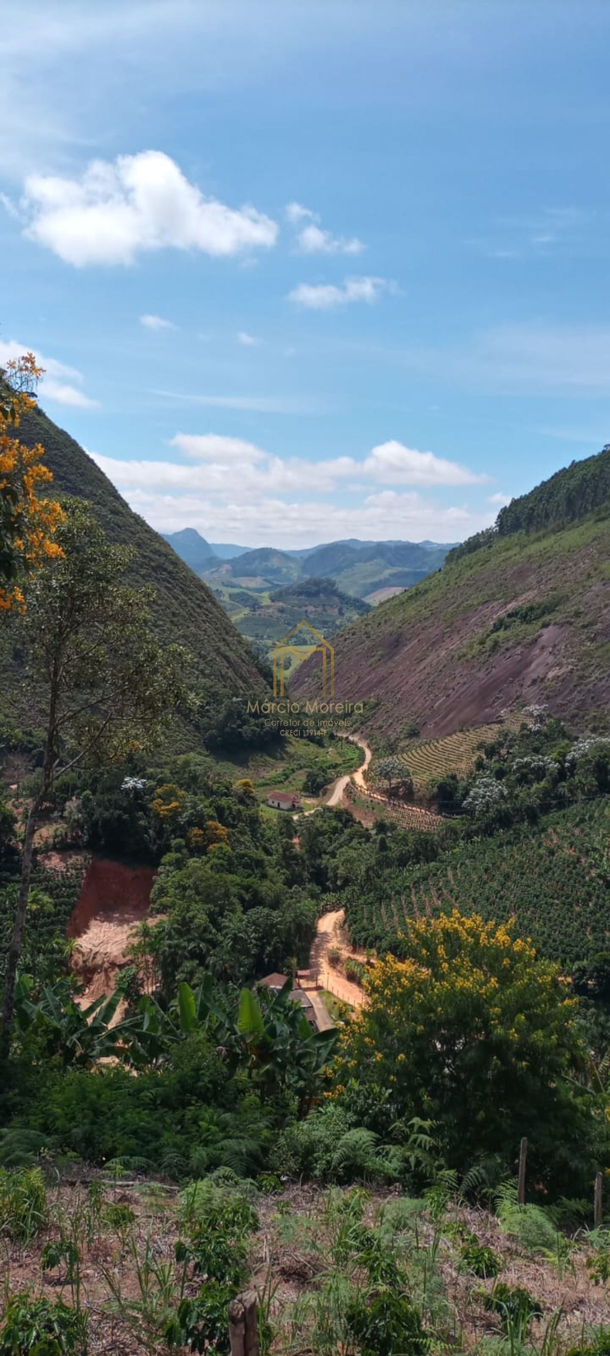 Fazenda à venda com 1 quarto, 15000000m² - Foto 2